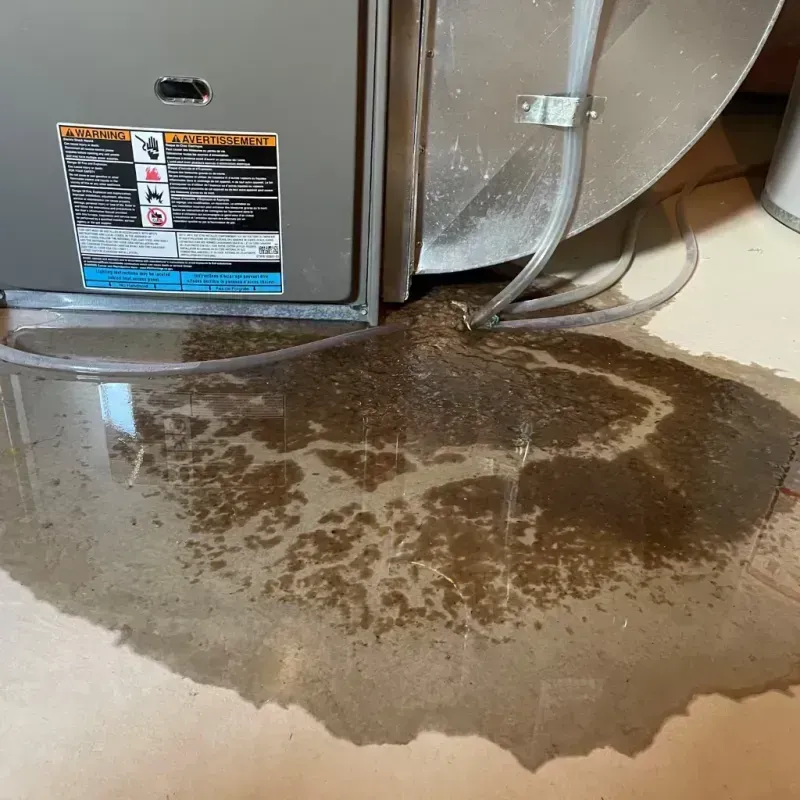 Appliance Leak Cleanup in West Seneca, NY